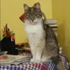 Отзыв от Эмма Лыкова